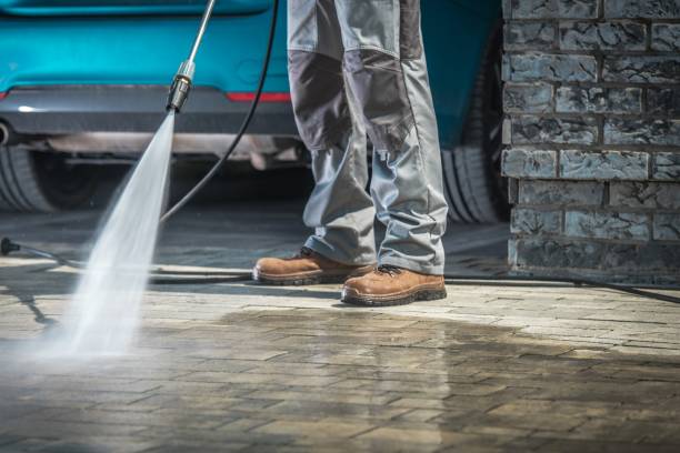 Best Pre-Holiday Cleaning  in Taylor Creek, FL