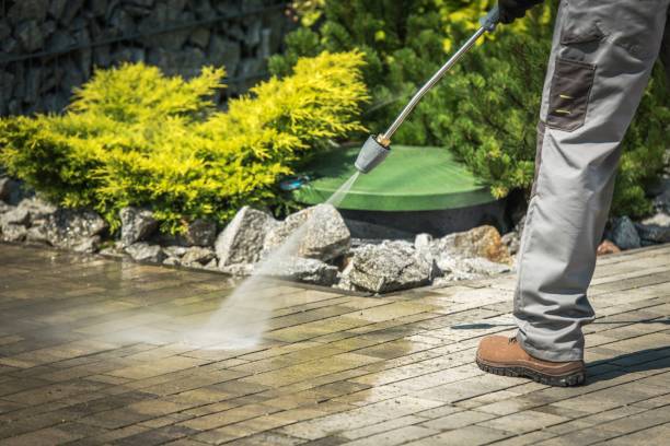 Trusted Taylor Creek, FL Pressure Washing Services Experts