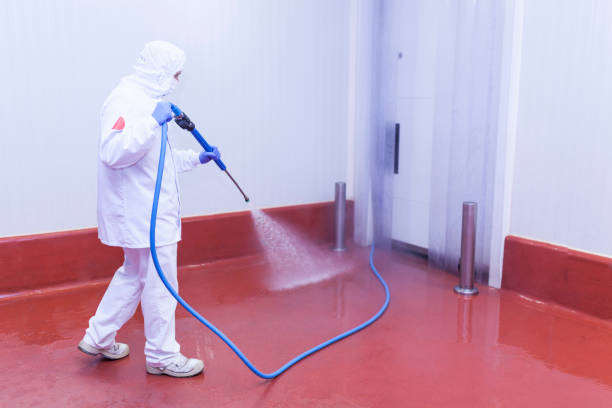Best Warehouse Cleaning  in Taylor Creek, FL