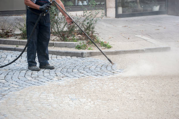 Best Driveway Pressure Washing  in Taylor Creek, FL