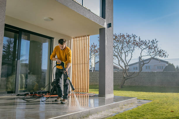 Best Sidewalk and Walkway Cleaning  in Taylor Creek, FL